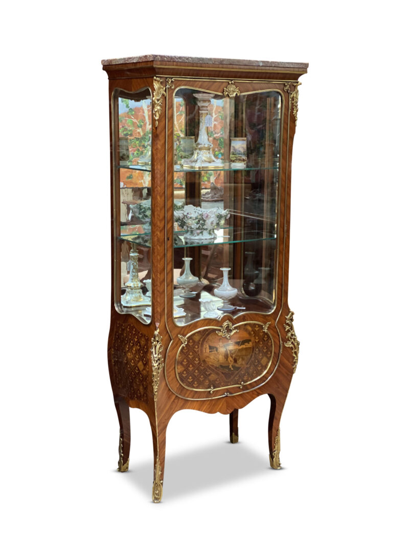 French 19th Century Kingwood Single Door Vitrine, c.1880