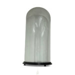 19th century glass display dome round