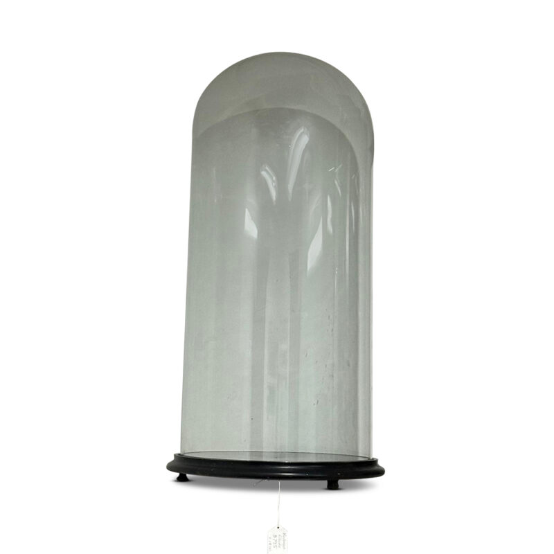 19th century glass display dome round