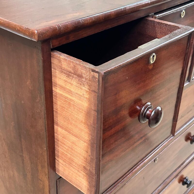 Australian antique cedar chest