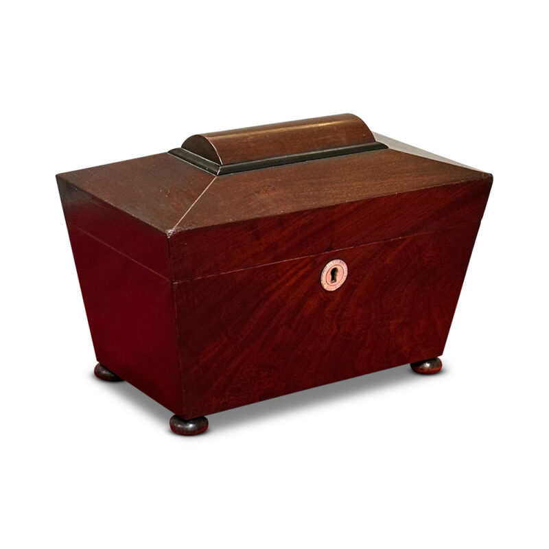 Georgian mahogany sarcophagus shaped tea caddy c.1820