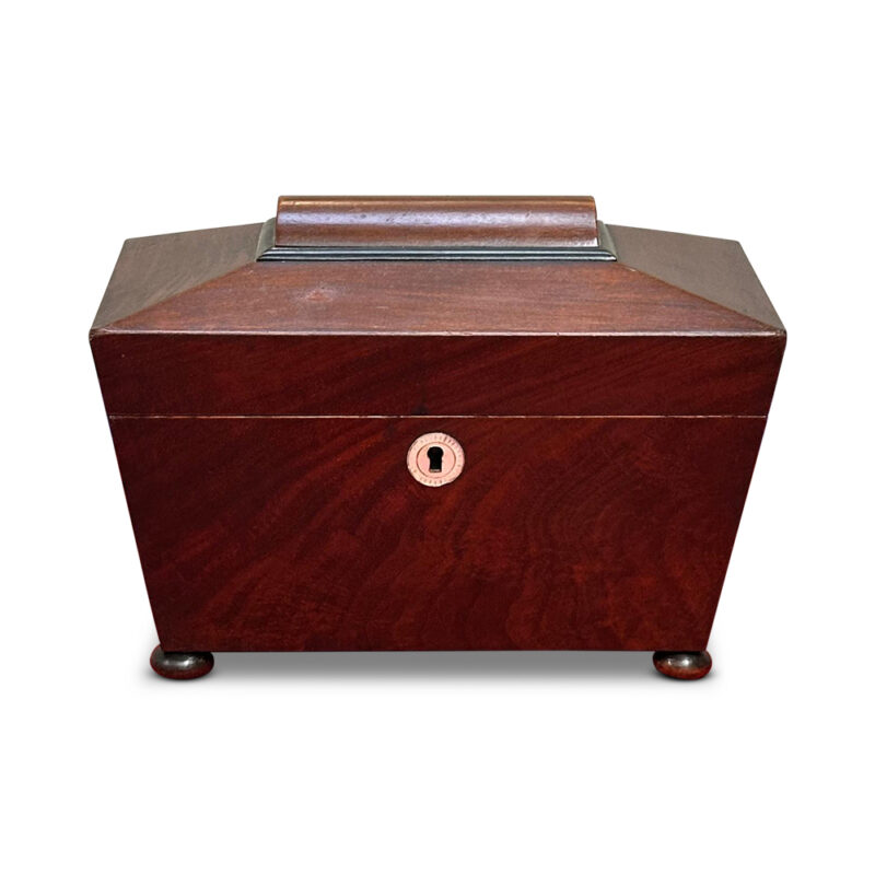 Georgian mahogany sarcophagus shaped tea caddy c.1820