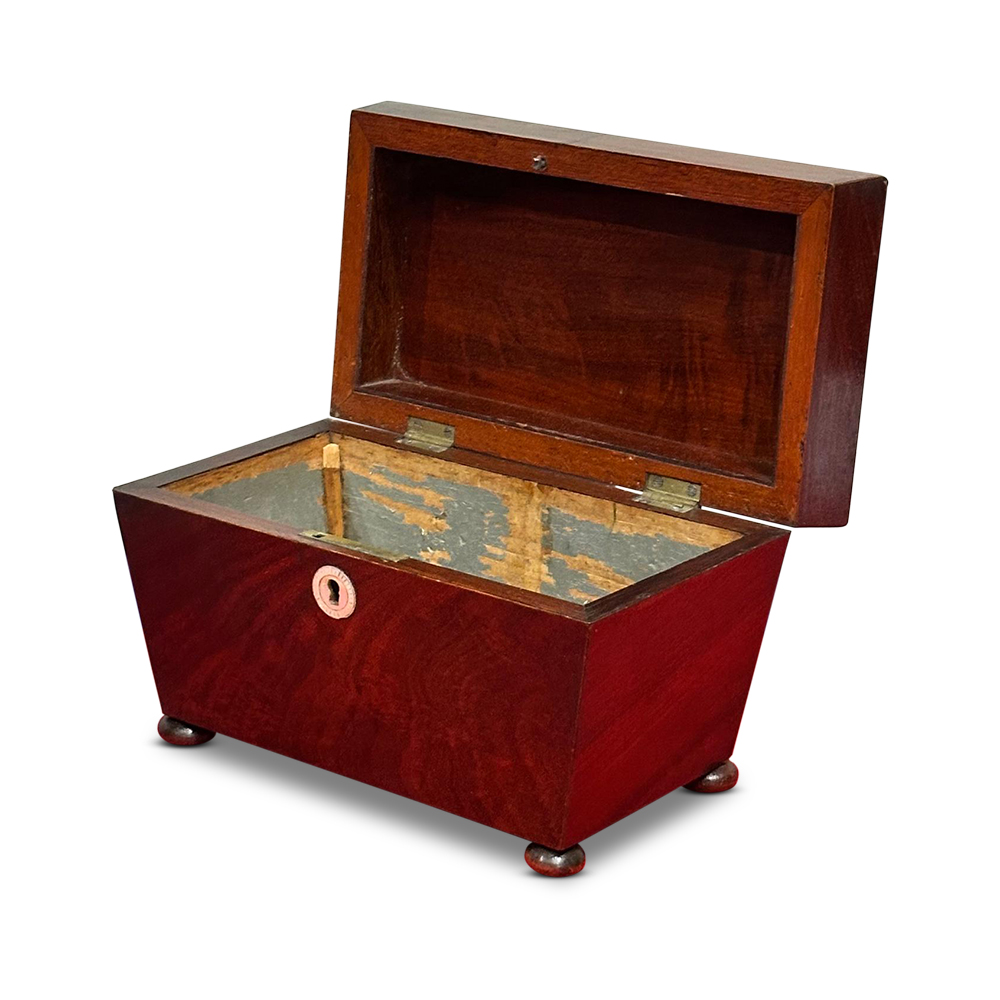 Georgian mahogany sarcophagus shaped tea caddy c.1820