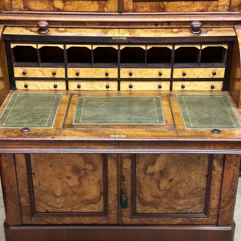 19th century burr walnut secretaire