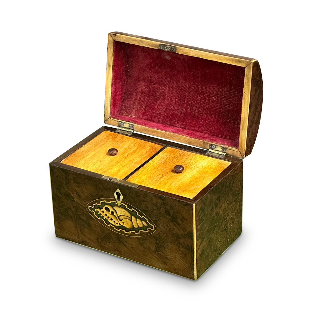 George III burr yew two section tea caddy with shell inlays c.1800