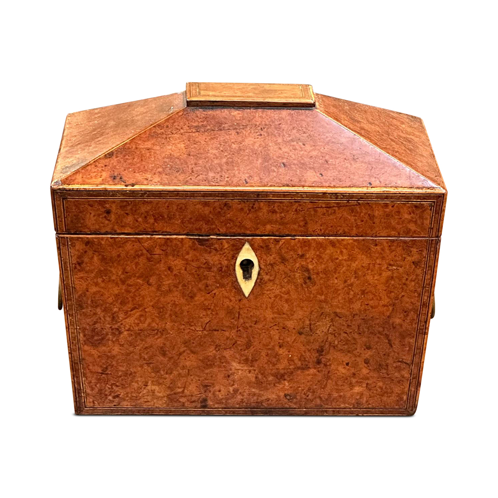 English Amboyna 2 section tea caddy c.1850