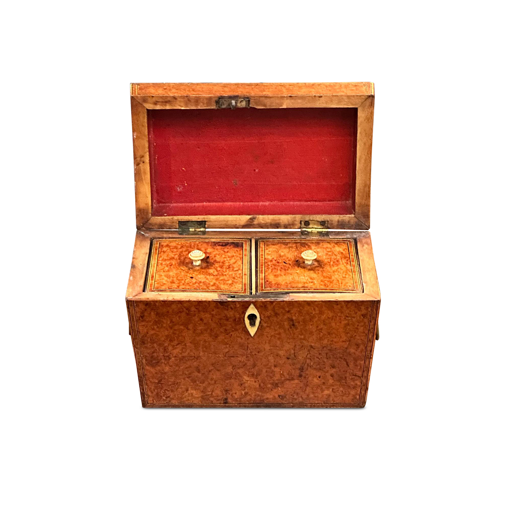 English Amboyna 2 section tea caddy c.1850