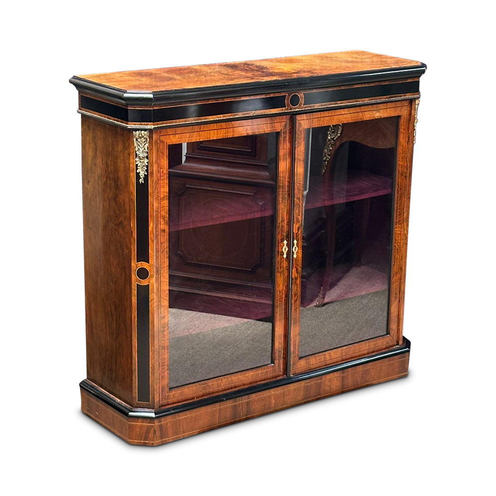 English 19th century burr walnut ebonised 2 door pier cabinet c.1870