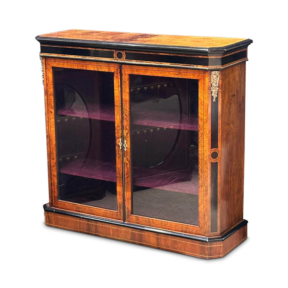 English 19th century burr walnut ebonised 2 door pier cabinet c.1870
